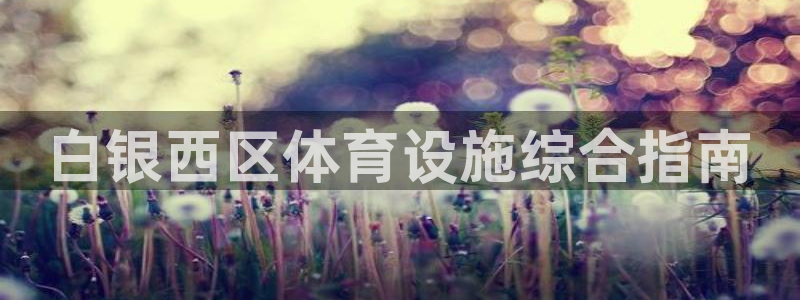 必一体育网页版登录：