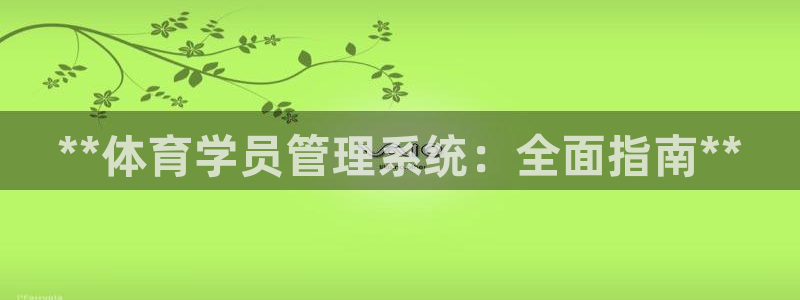 必一运动 b 体育素