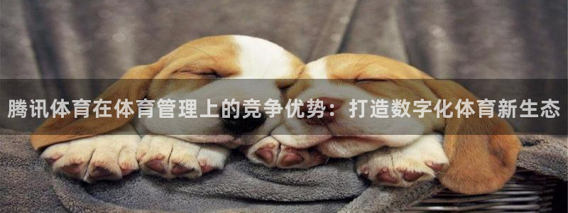 必一体育官网app：