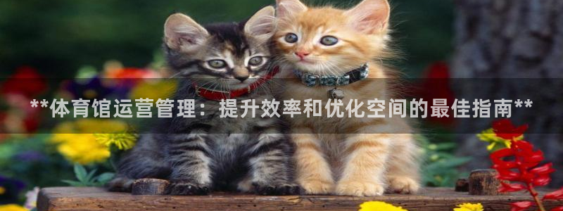 b体育必一运动网页版