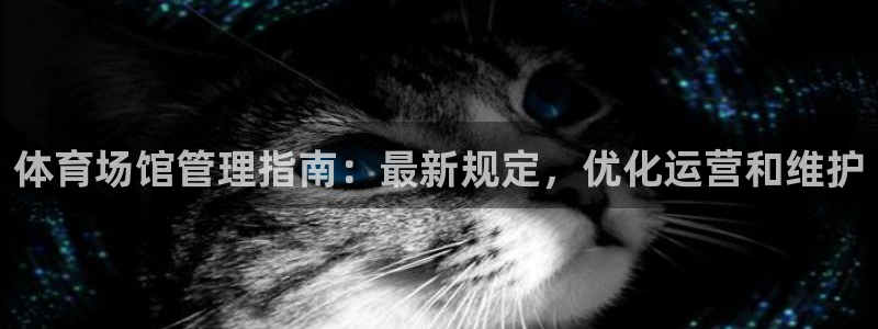 必一体育在线入口：体