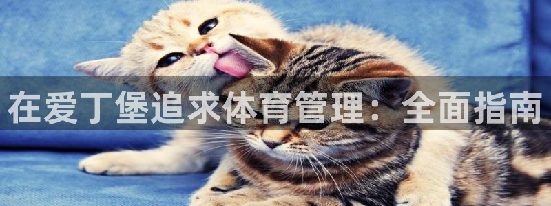 必一体育网页：在爱丁