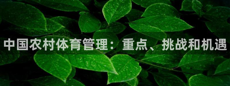 必一体育官方下载入口