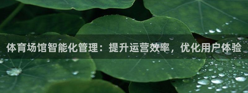 必一体育下载义：体育