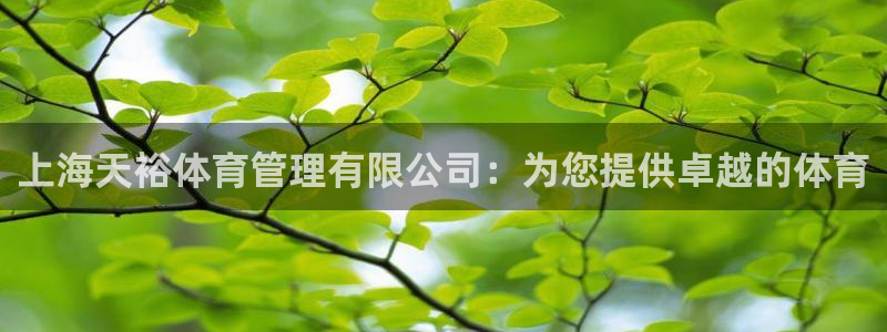 必一体育旧版：上海天