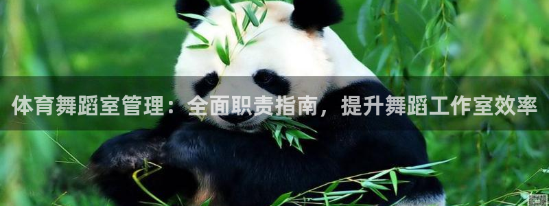 必一体育没了：体育舞