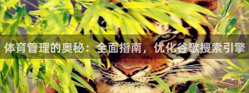 必一体育电子app：