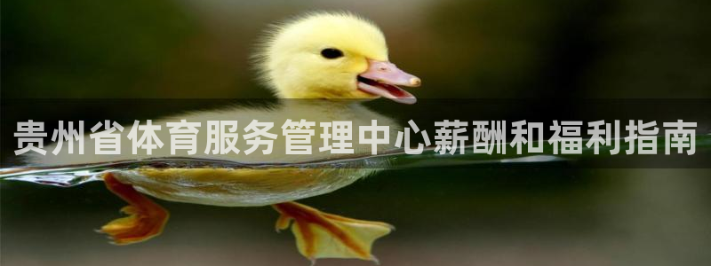 必一运动 b 体育素