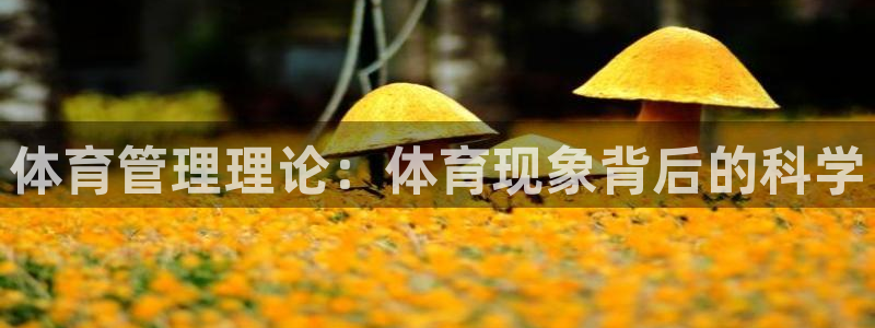 必一体育是啥：体育管