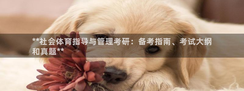 必一体育app下载装