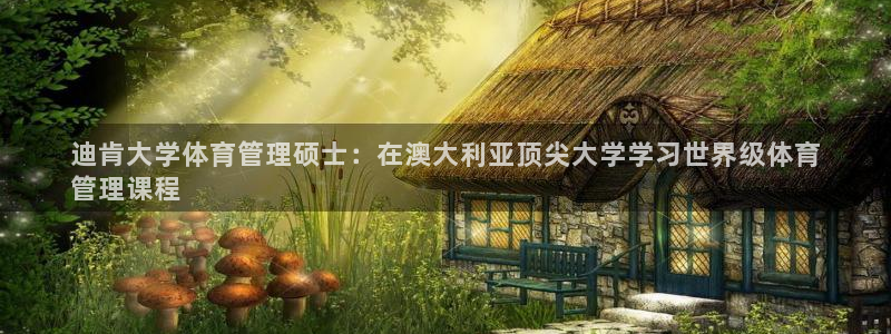 必一运动 b 体育素