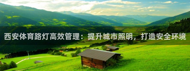 必一体育官方网站入口