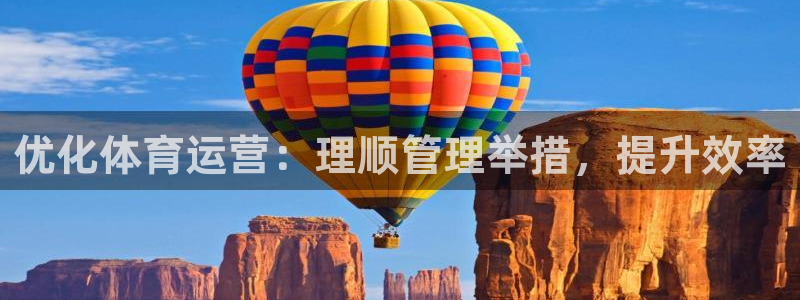 必一体育验证码：优化