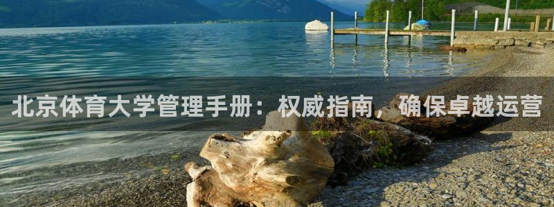 必一体育APP下载安