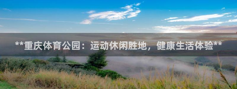 必一体育黑平台：**