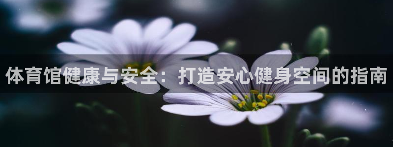 必一体育app下载：