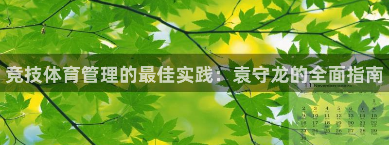 必一体育全站在线登录