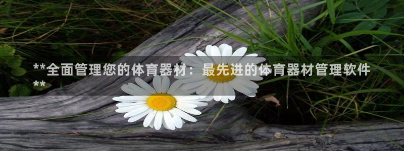 必一体育运动平台官网