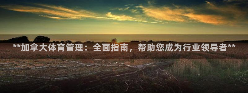 必一体育sport下