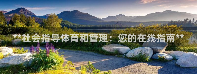 必一体育服下载最新版