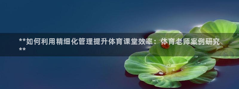 必一体育登入：**如