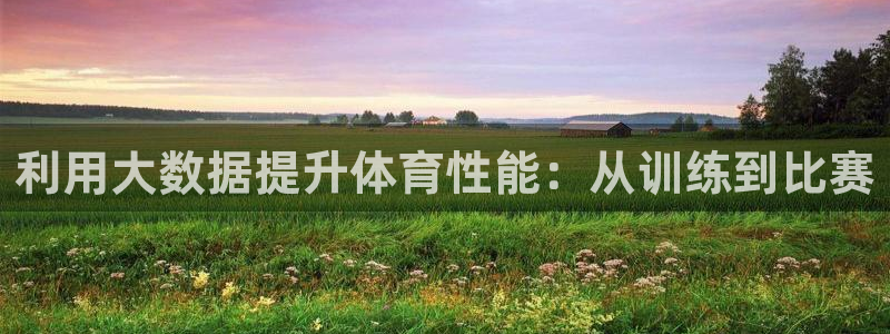 必一体育是啥：利用大