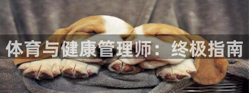 必一体育是哪里的台子