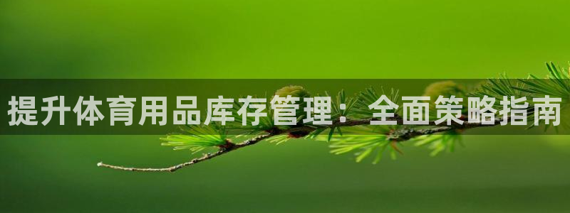 必一运动sport爱