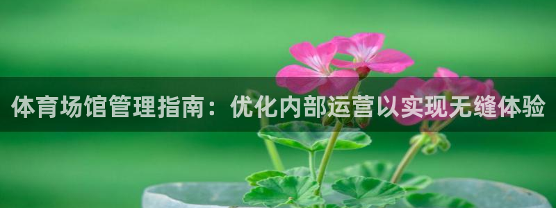 必一体育合法吗：体育