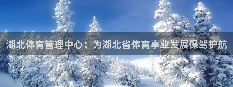 必一体育网页版登录：