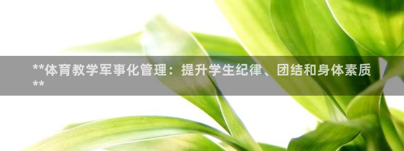 必一体育是啥：**体