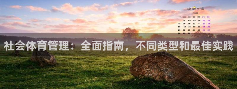 必一体育网站：社会体