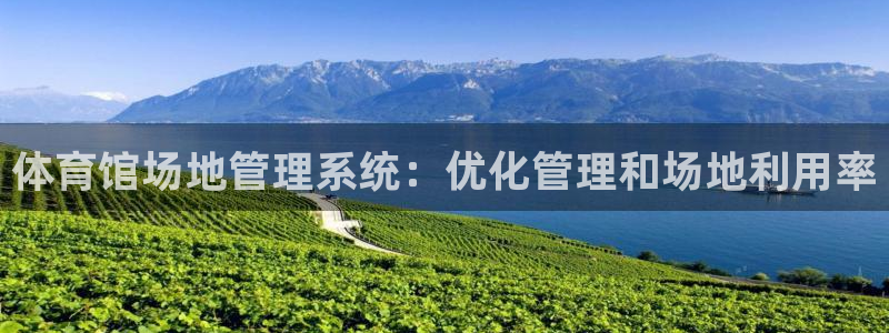 必一运动：体育馆场地