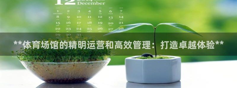必一体育APP下载安
