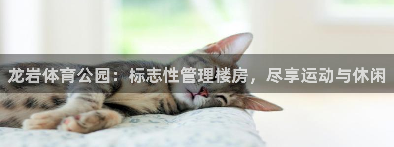 必一运动验证码：龙岩