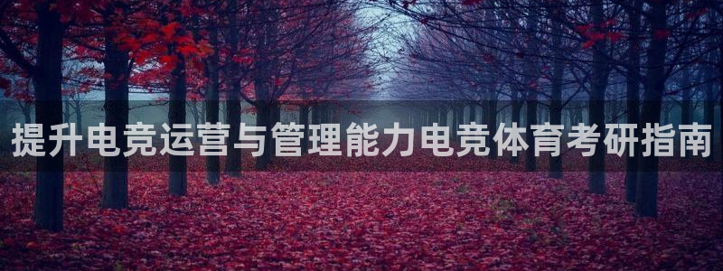 必一体育bsport