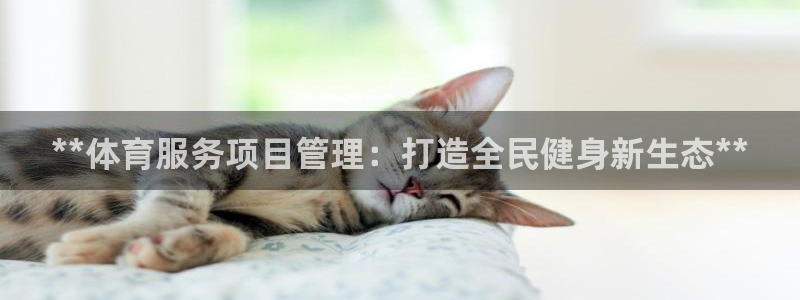 必一体育官网网站：*