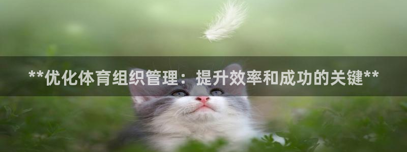 必一体育app下载装
