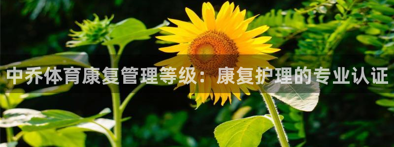 必一体育登录：中乔体