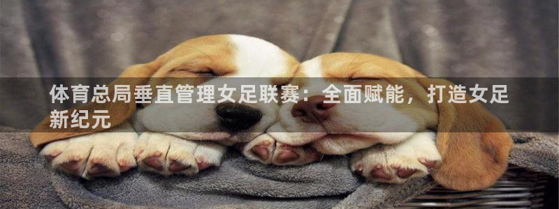 必一体育app官方下