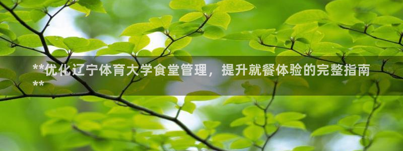 必一体育运动官网：*