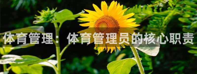 必一体育app官方：