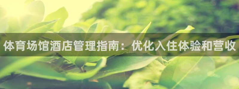 必一体育最新官网入口