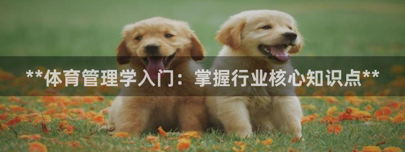 必一体育网页版登录：