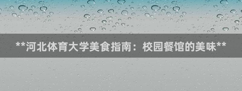 必一运动B-Spor
