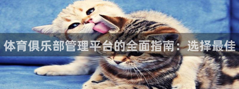 必一体育sportB