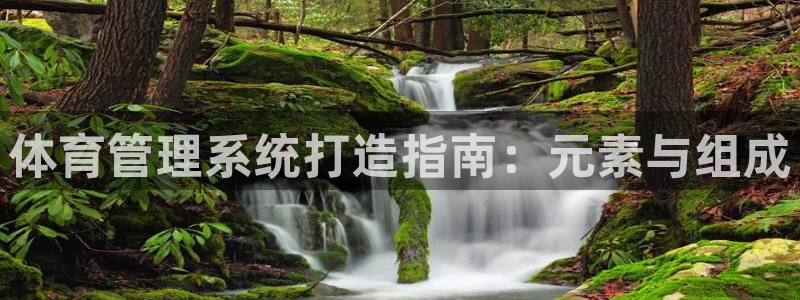 必一体育官方app下