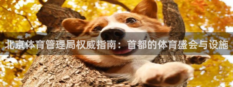 必一体育下载app下