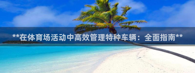 必一体育运动官网：*