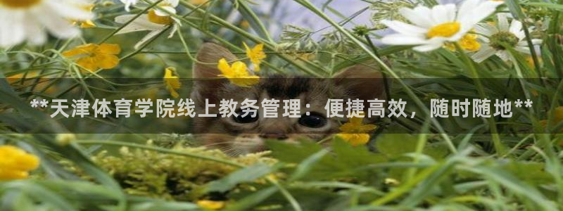 必一体育下载义：**